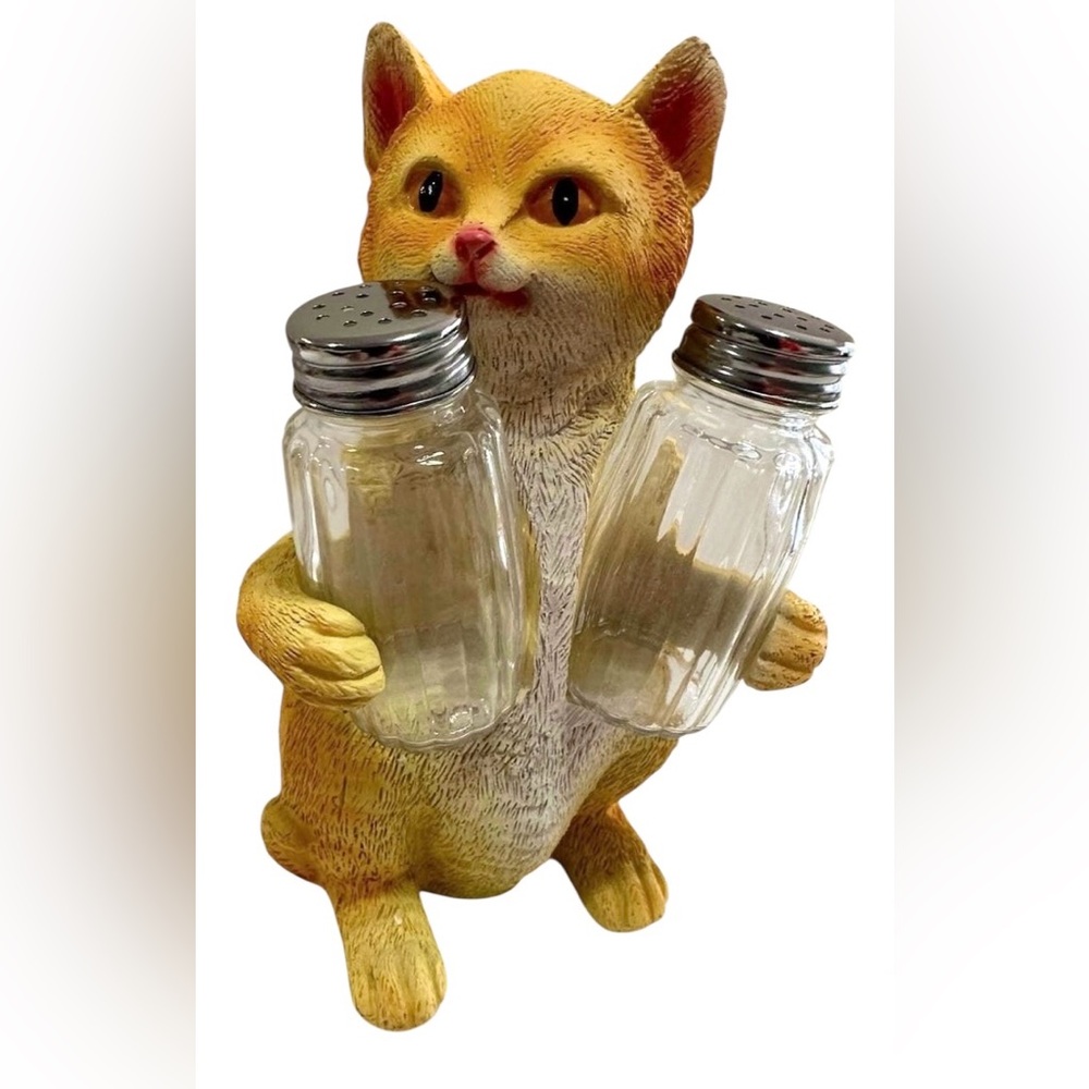 Orange Tabby Kitty Cat Salt and Pepper Holder Set w/ Shakers